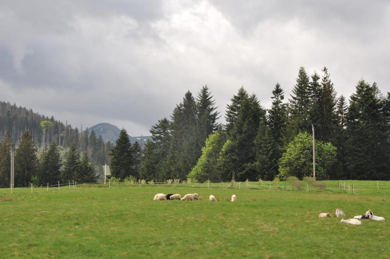 Apartamenty Jszi Zakopane Exterior photo